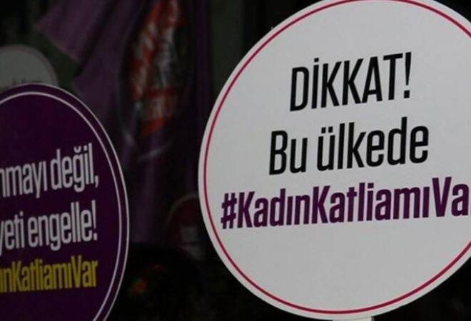 Yerlikaya’dan bütçe sunumu: Yılın ilk on ayında 276 kadın cinayeti işlendi